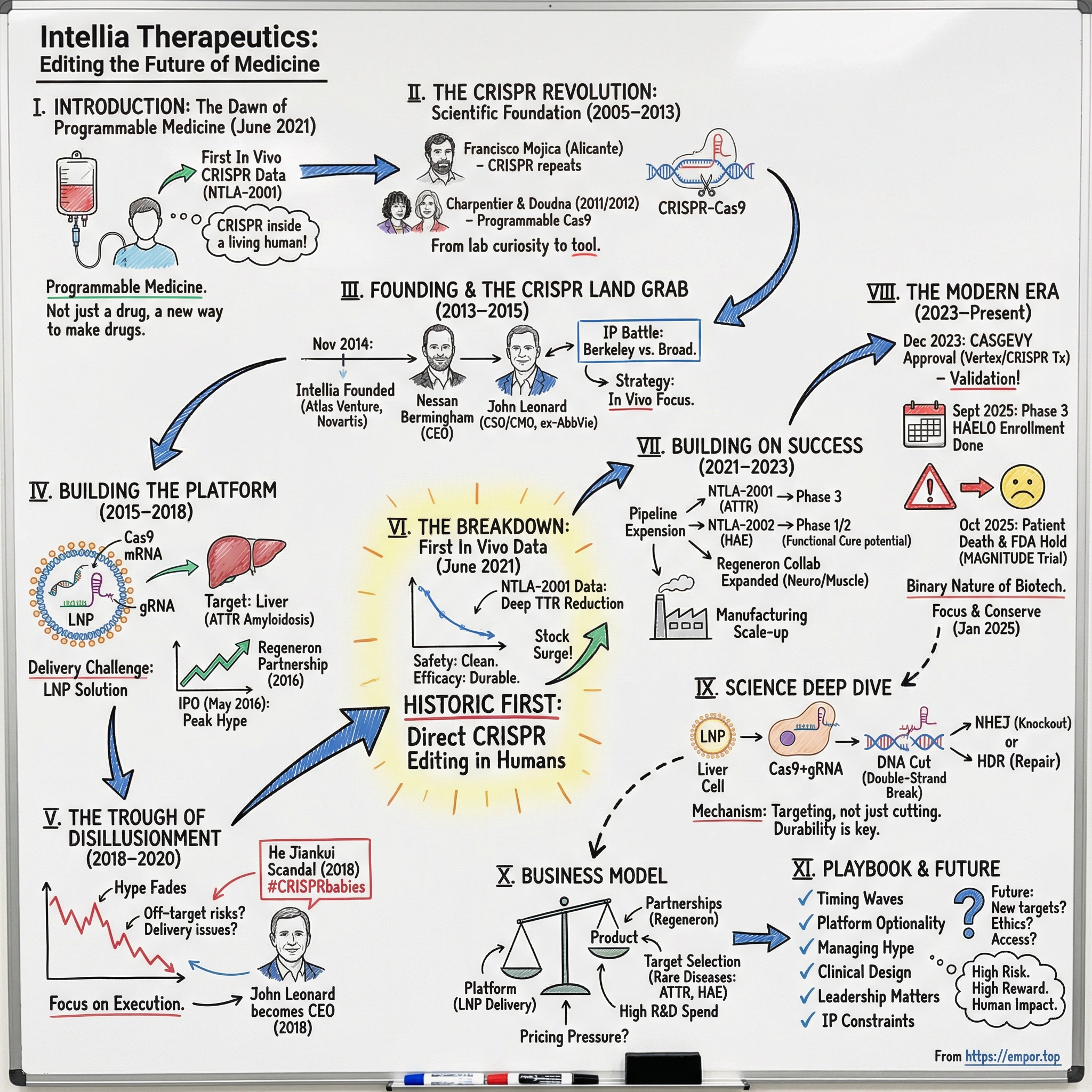 Intellia Therapeutics visual story map